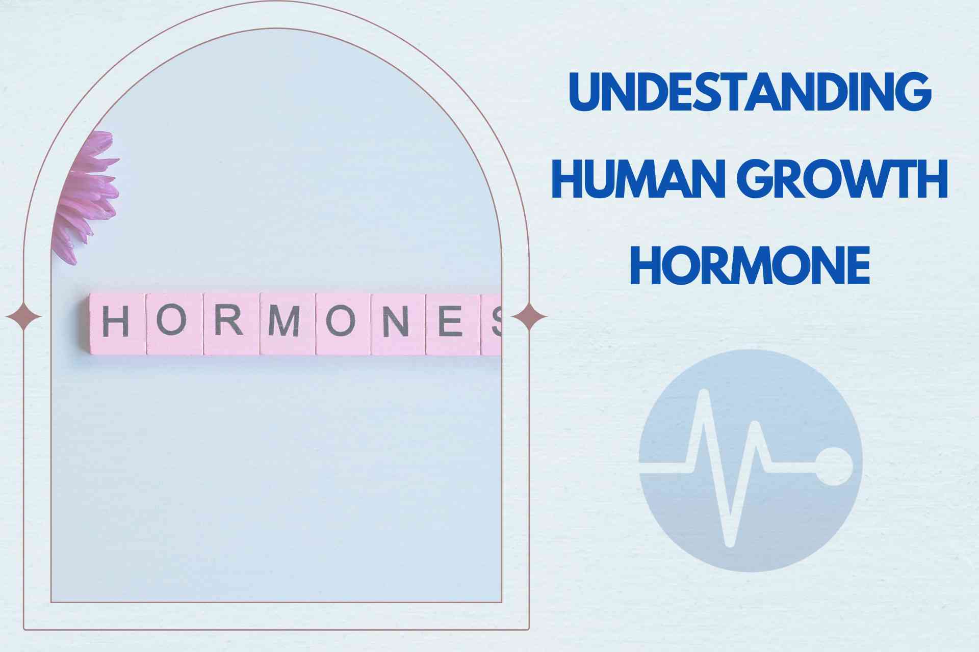 Understanding Human Growth Hormone