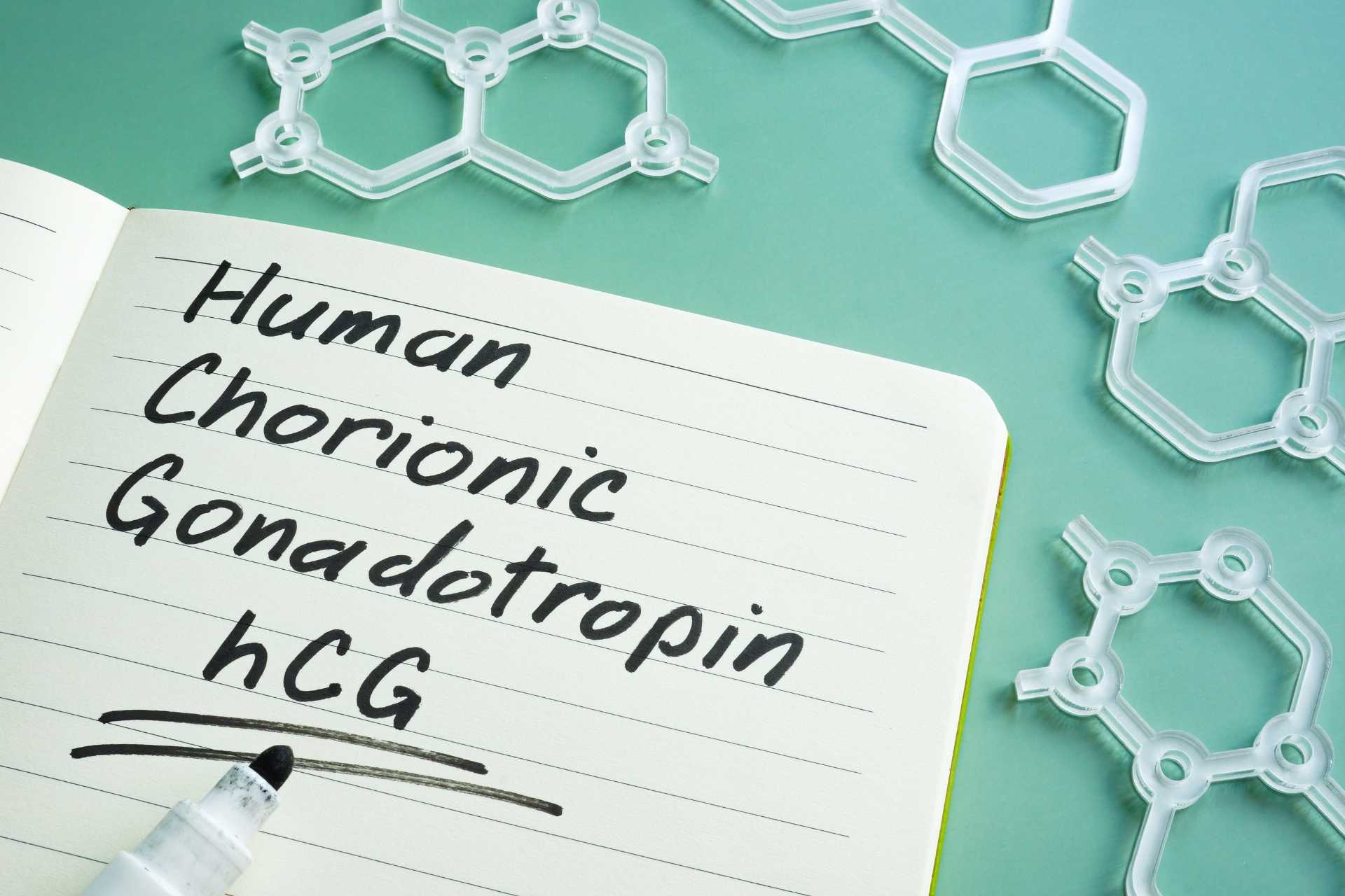 Human Chorionic Gonadotropin